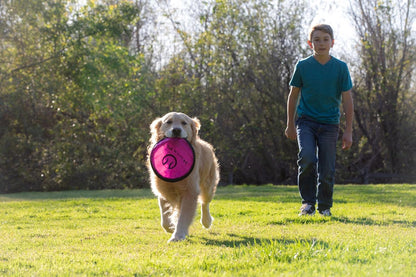 Flippy Flopper Dog Frisbee Interactive Dog Toys (Flying Disc Dog Fetch Toy - Floats in Water & Safe on Teeth) 2 Pack or 5 Pack, Colors Will Vary